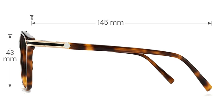 Michaela warm tortoise   Acetate  Eyeglasses, size view