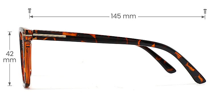 Geir warm tortoise   Plastic  Eyeglasses, size view