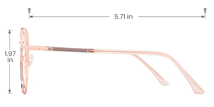 Wensley rose gold brown   Metal  Eyeglasses, size view