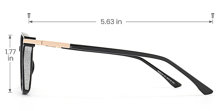 Aysun black   Plastic  Eyeglasses, size view