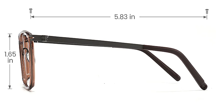 Marin brown   Plastic  Eyeglasses, size view