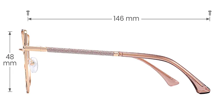 Halo petal tortoise   Metal  Eyeglasses, size view