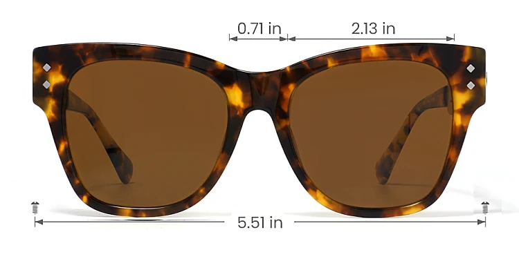 Aella warm tortoise   Acetate  Sunglasses, size view