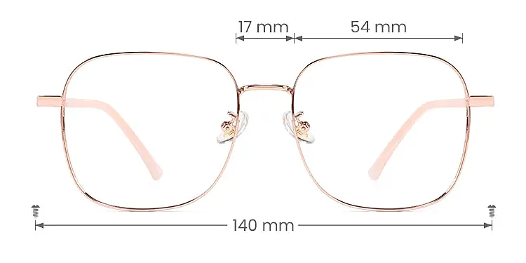 Karine rose gold pink   Metal  Eyeglasses, size view