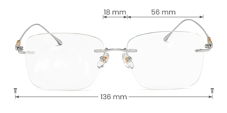 Mike silver   Titanium  Eyeglasses, size view