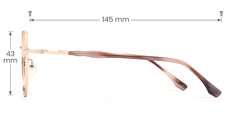 Elly rose gold   Metal  Eyeglasses, size view