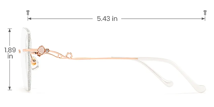 Conch rose gold silver   Metal  Eyeglasses, size view