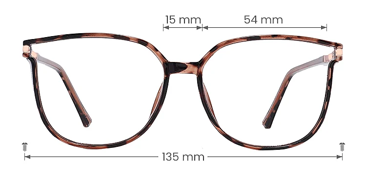 Aysun warm tortoise   Plastic  Eyeglasses, size view