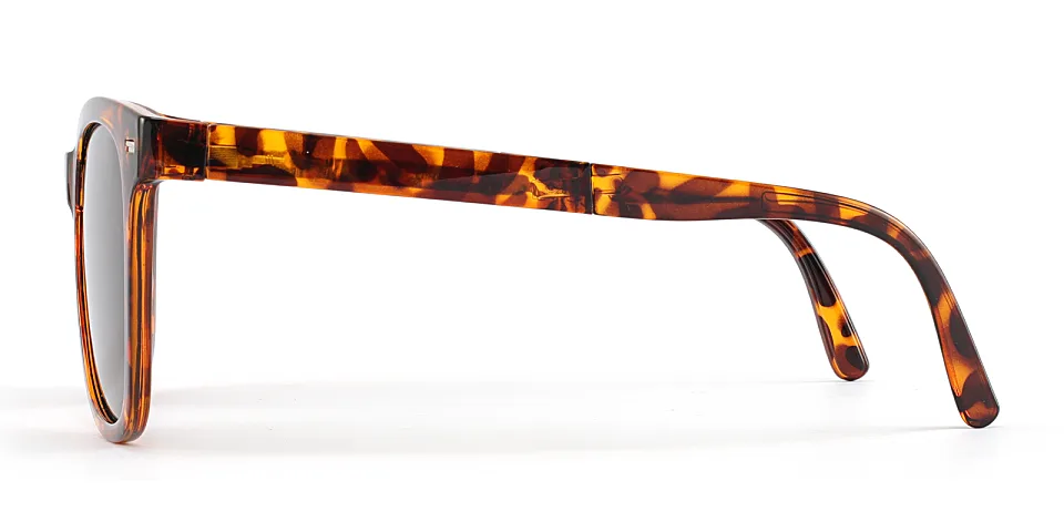 Noel warm tortoise   Plastic  Sunglasses