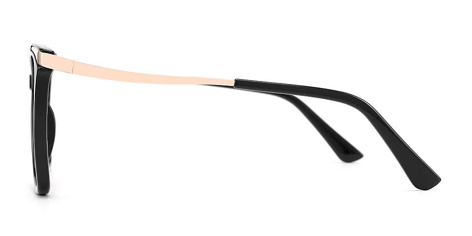 Sine black   Plastic  Eyeglasses