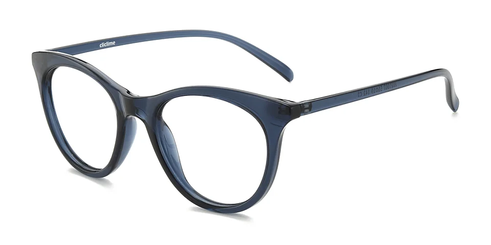 Icey blue   Plastic  Eyeglasses