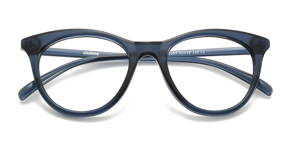 Icey blue   Plastic  Eyeglasses