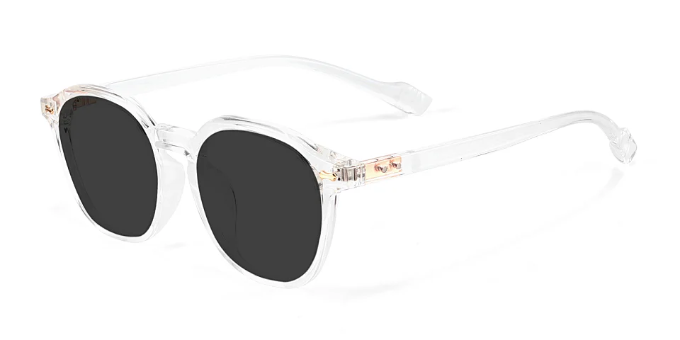 Devin clear   Plastic  Sunglasses