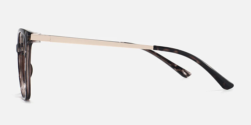 Caspian black tortoise   Plastic  Eyeglasses