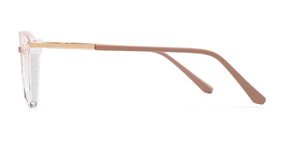 Darleen brown tortoise   Plastic  Eyeglasses