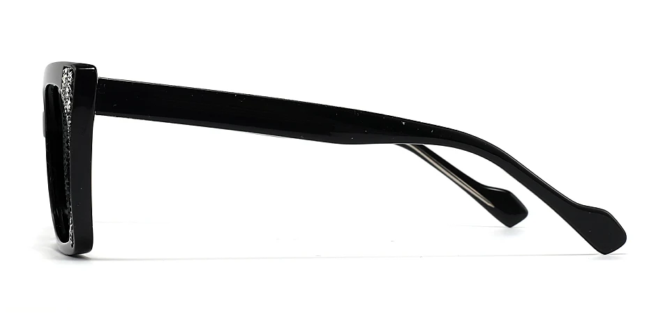 Tolek black   Plastic  Sunglasses