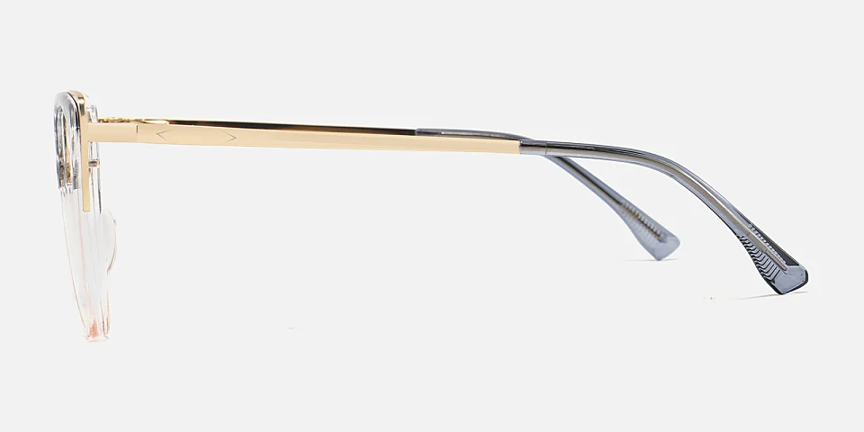 Lucissa grey floral champagne   Plastic  Eyeglasses