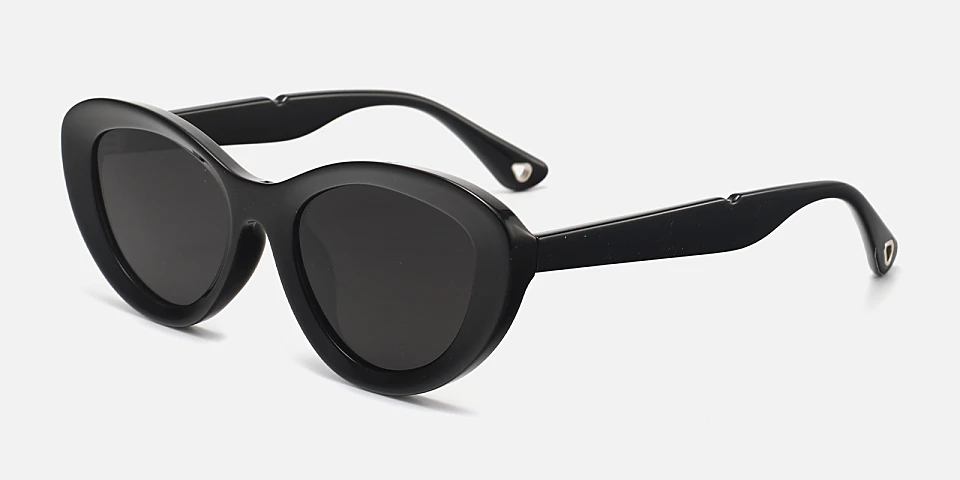 Remy black   Plastic  Sunglasses