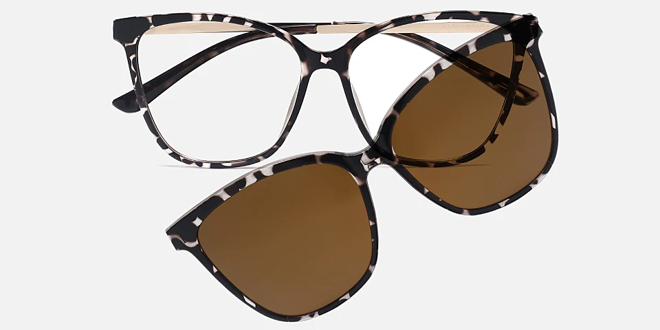 Caspian black tortoise   Plastic  Eyeglasses