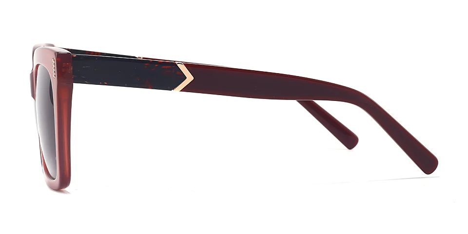 Kael carmine   Plastic  Sunglasses