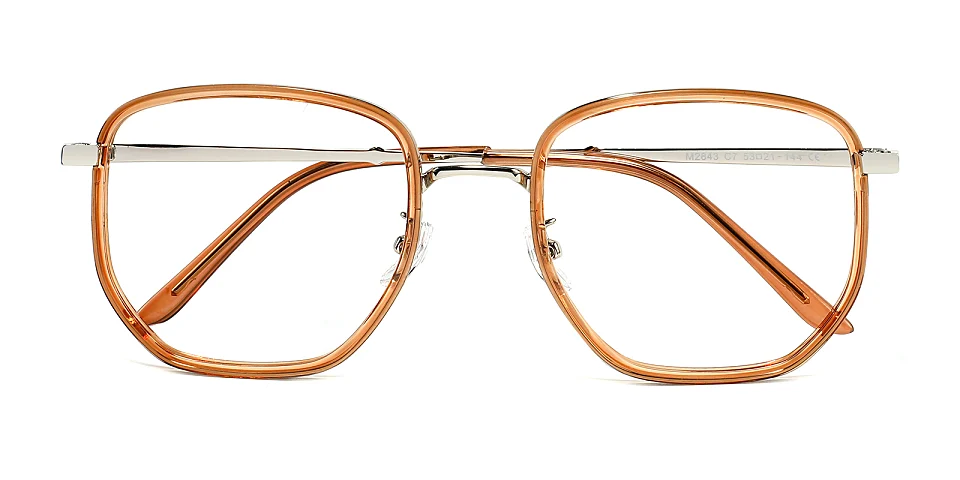 Clady orange   Plastic  Eyeglasses