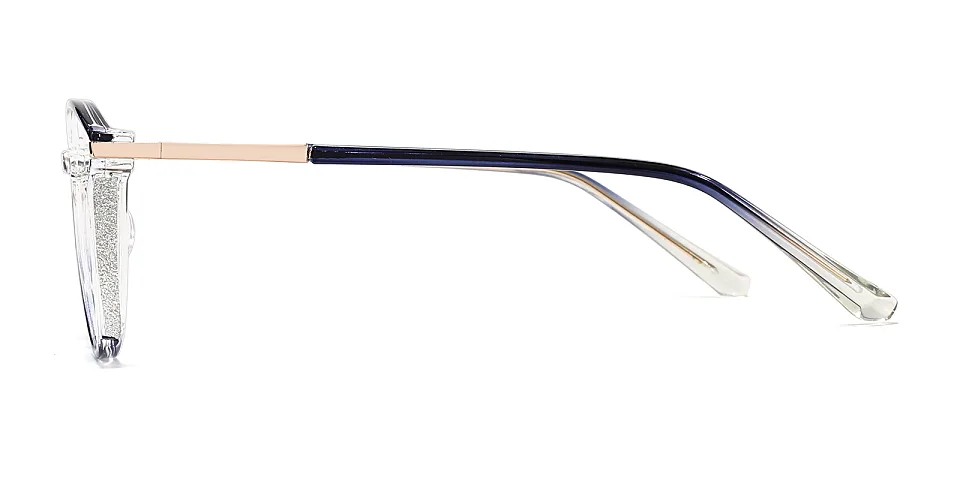 Darleen blue clear   Plastic  Eyeglasses