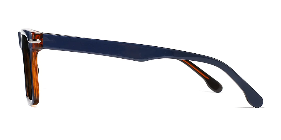 Philip blue   Acetate  Sunglasses