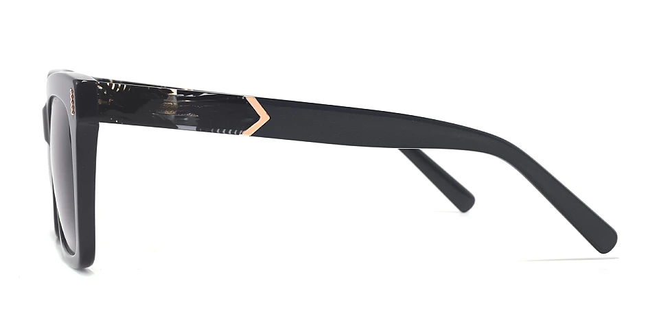 Kael black   Plastic  Sunglasses