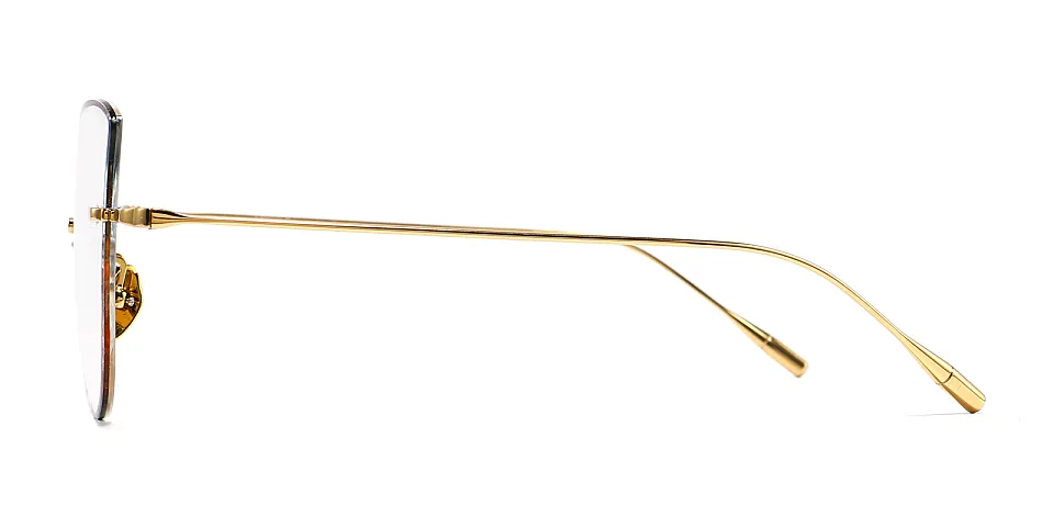 Tessa gold   Titanium  Eyeglasses