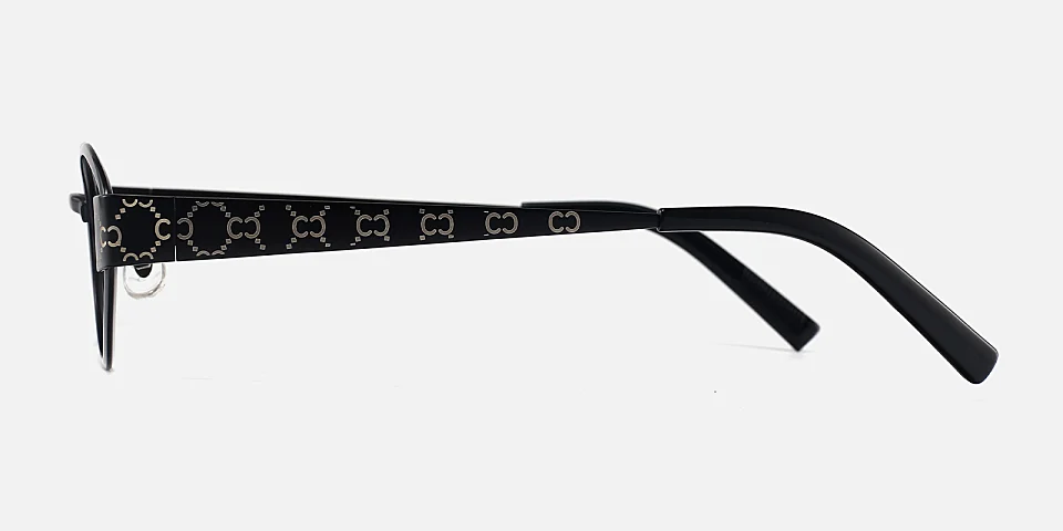 Fina black   Titanium  Eyeglasses