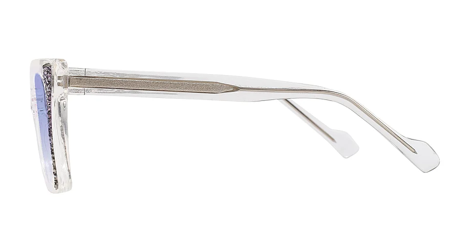 Tolek clear   Plastic  Sunglasses