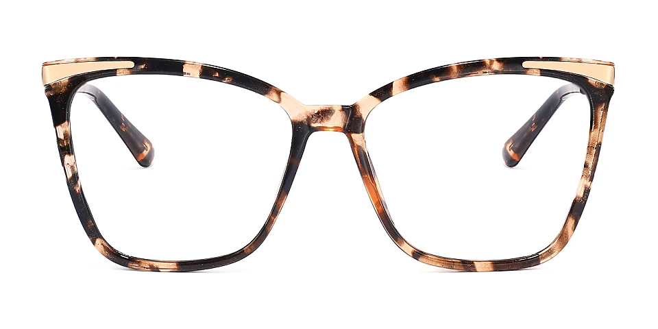 Sine warm tortoise   Plastic  Eyeglasses
