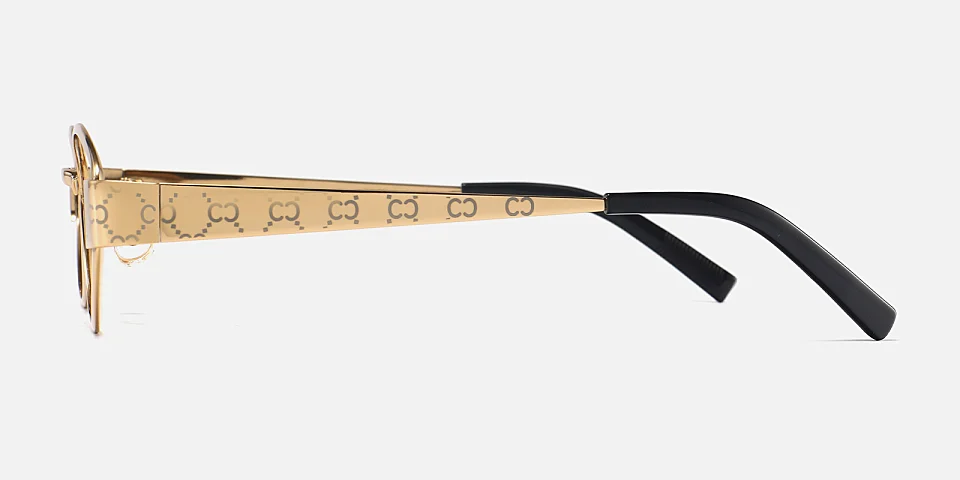 Fina gold   Titanium  Eyeglasses