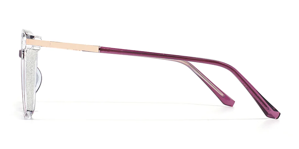 Aysun purple   Plastic  Eyeglasses