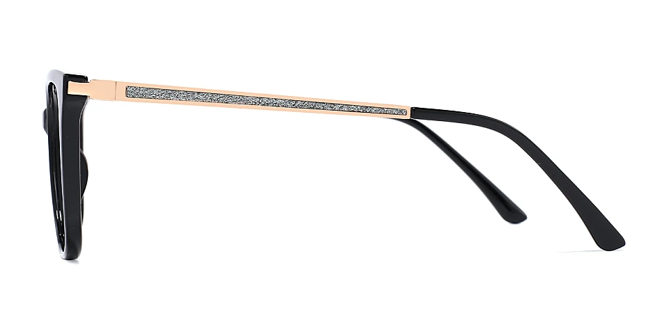 Fiora black   Plastic  Eyeglasses