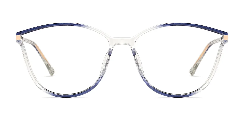 Darleen blue clear   Plastic  Eyeglasses