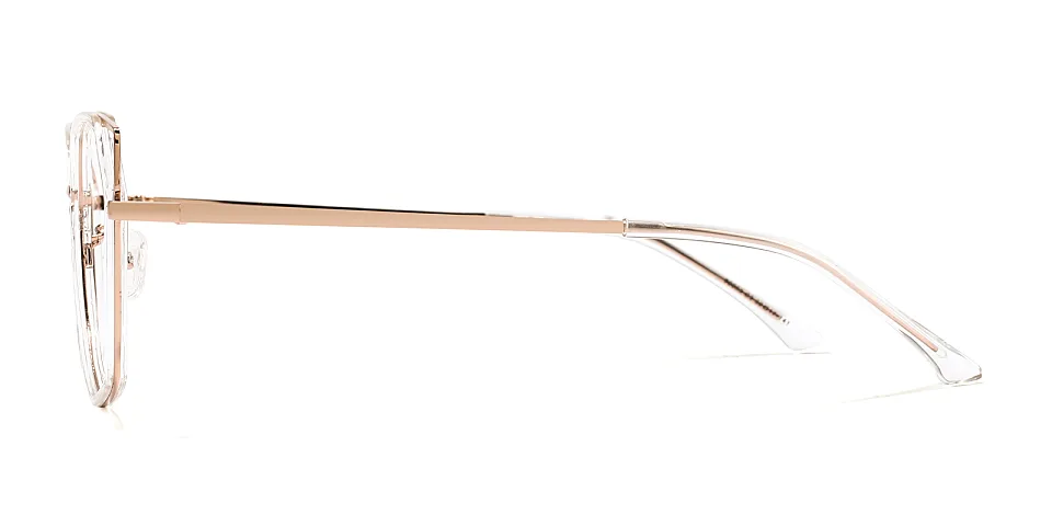 Arya clear   Metal  Eyeglasses