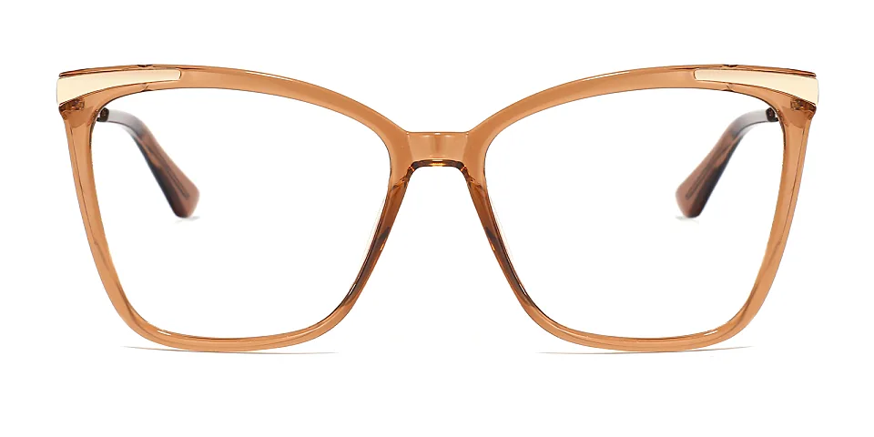 Sine brown   Plastic  Eyeglasses