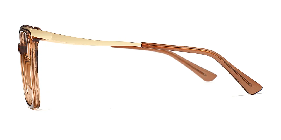 Sine brown   Plastic  Eyeglasses