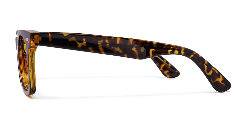 Jose warm tortoise   Plastic  Eyeglasses