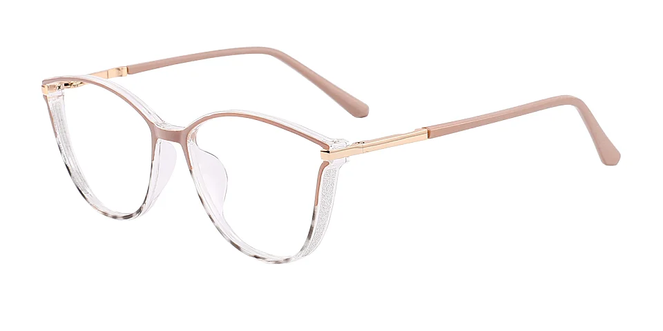 Darleen brown tortoise   Plastic  Eyeglasses
