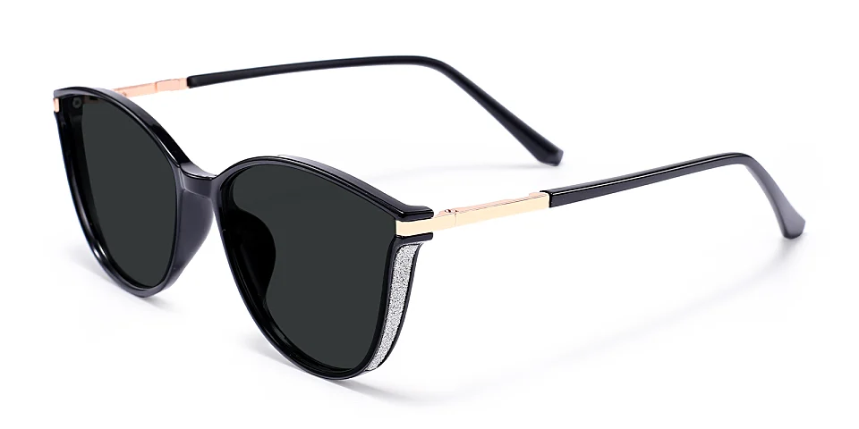 Darleen black   Plastic  Sunglasses