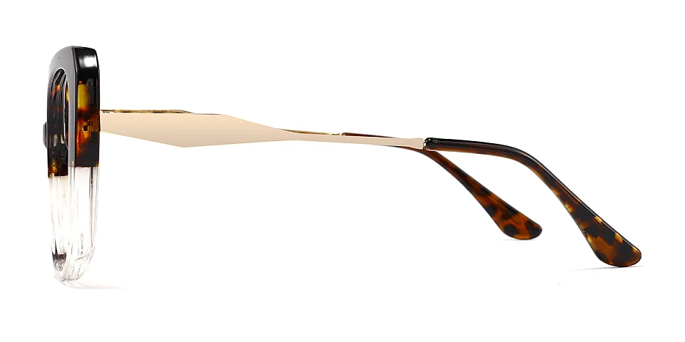 Cryder warm tortoise clear   Plastic  Eyeglasses