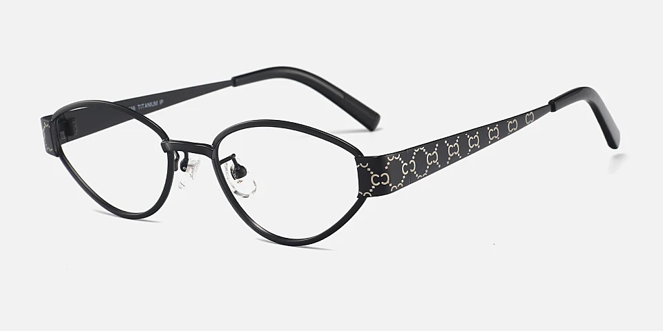 Fina black   Titanium  Eyeglasses