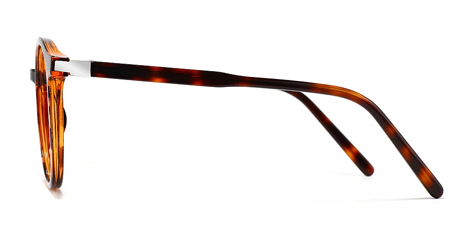 Axiom warm tortoise   Plastic  Eyeglasses