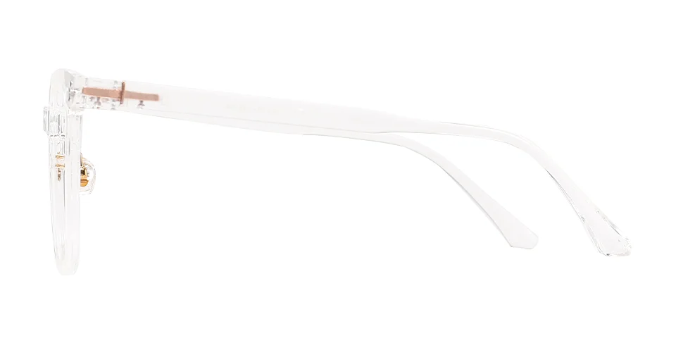 Samar clear   Plastic  Eyeglasses