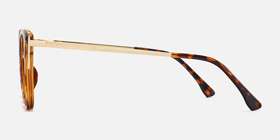 Lucissa warm tortoise   Plastic  Eyeglasses