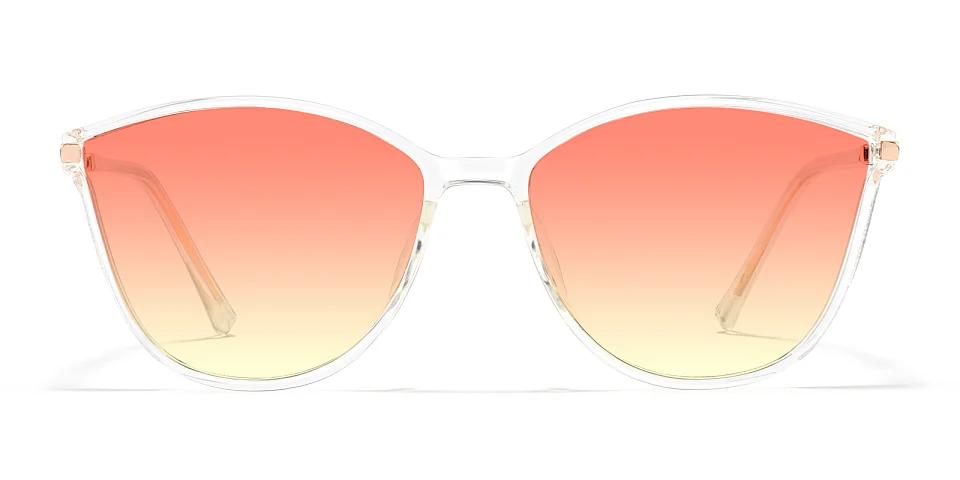 Darleen clear   Plastic  Sunglasses