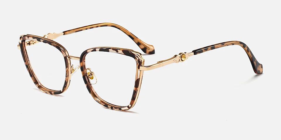 Niamh warm tortoise   Plastic  Eyeglasses
