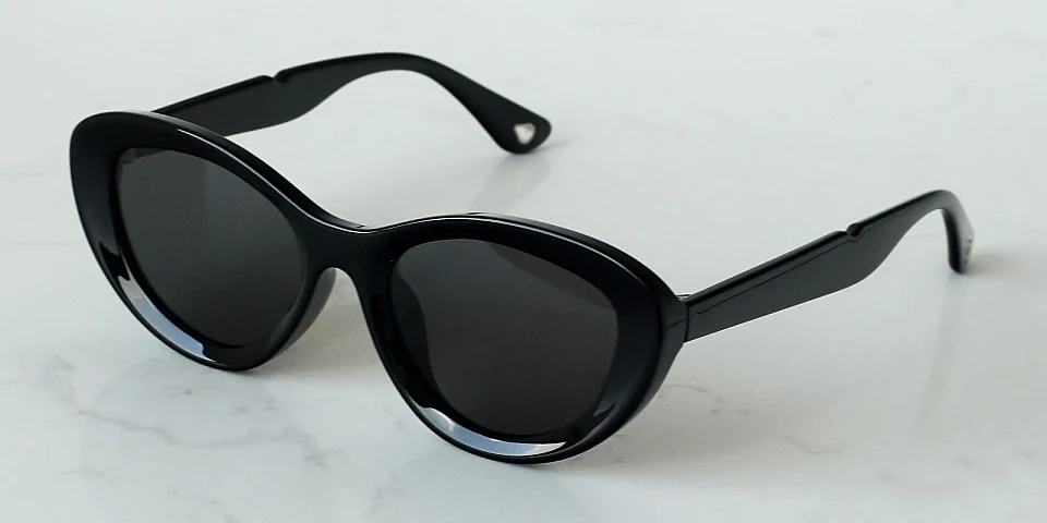 Remy black   Plastic  Sunglasses